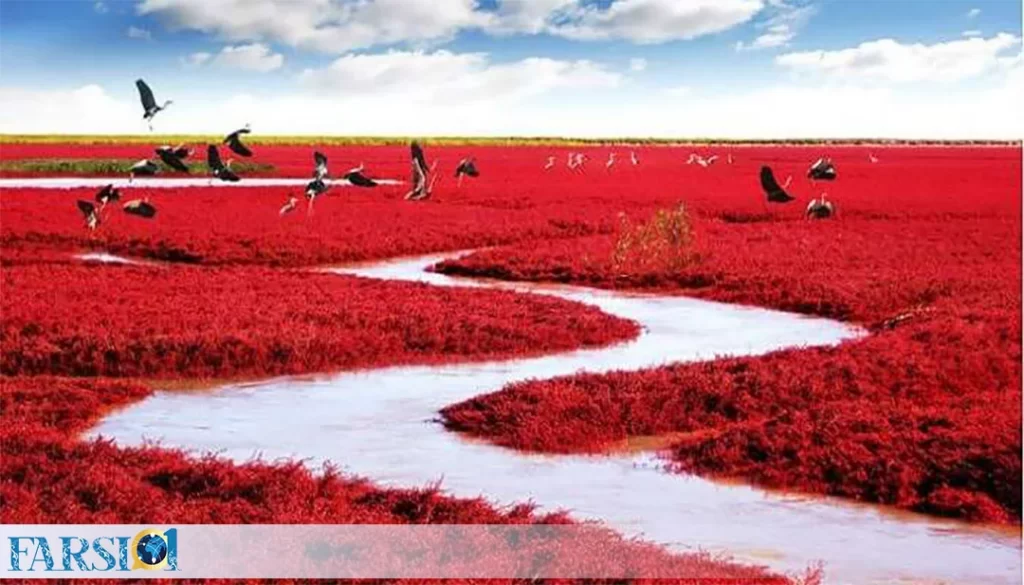 ساحل قرمز در چین
