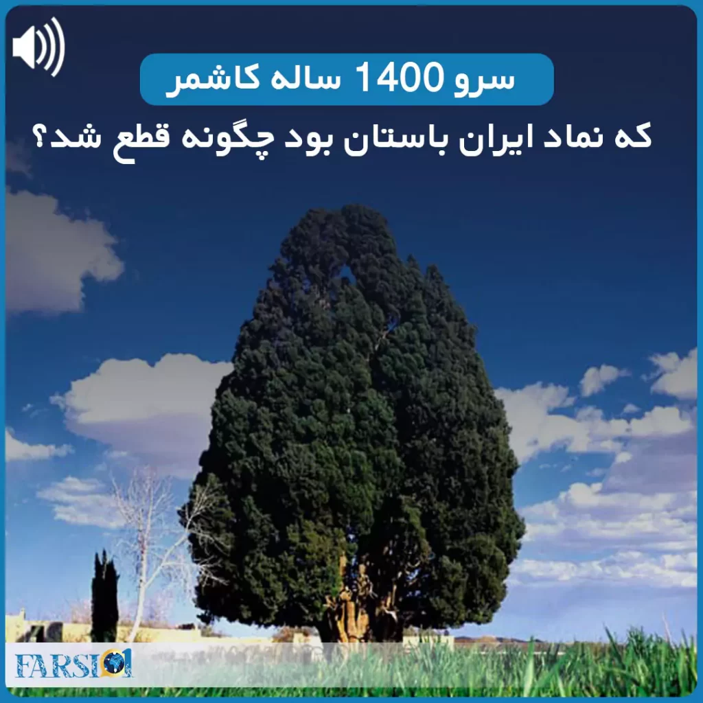 پادکست فارسی 1 - سرو کاشمر